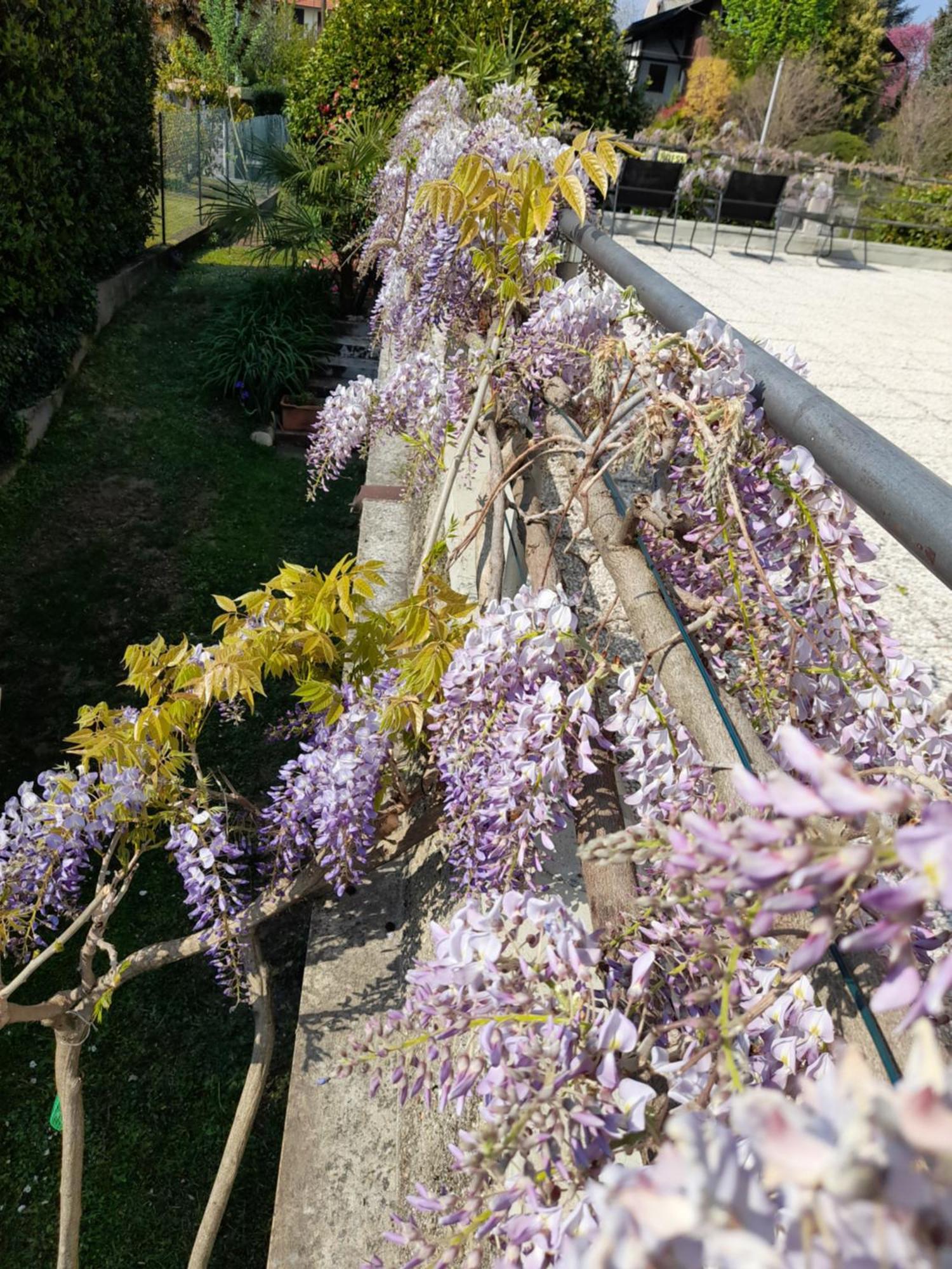 Casa Germana Apartment Invorio Inferiore Bagian luar foto